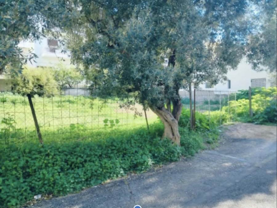 (For Sale) Land Plot || Athens South/Argyroupoli - 357 Sq.m, 450.000€ 